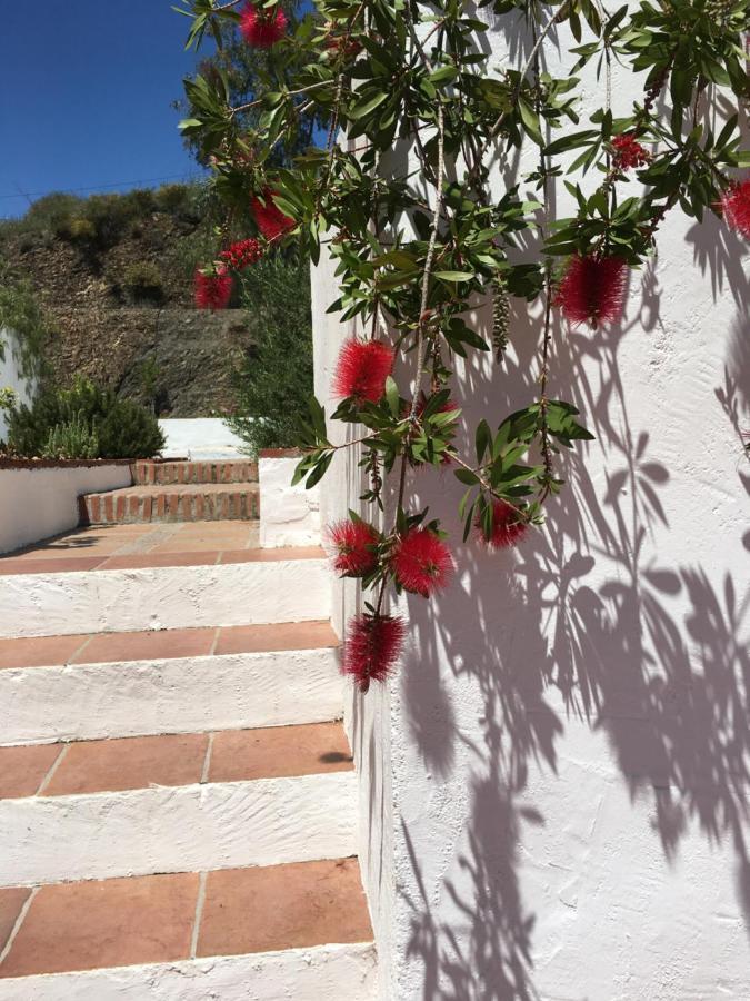 B&B And Apartments Cortijo La Zapatera Canillas de Aceituno エクステリア 写真