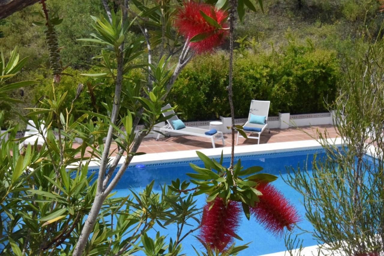 B&B And Apartments Cortijo La Zapatera Canillas de Aceituno エクステリア 写真