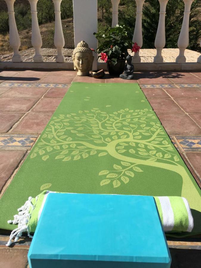 B&B And Apartments Cortijo La Zapatera Canillas de Aceituno エクステリア 写真