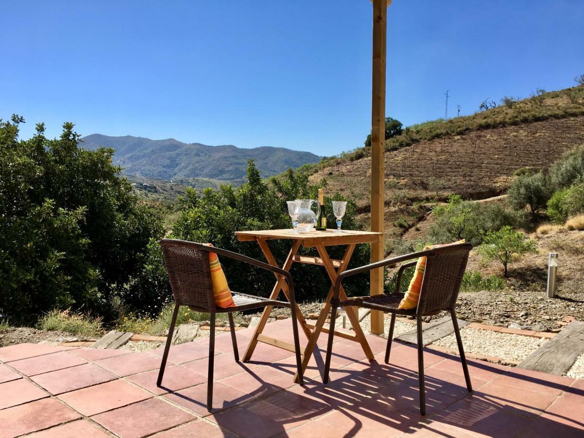 B&B And Apartments Cortijo La Zapatera Canillas de Aceituno エクステリア 写真