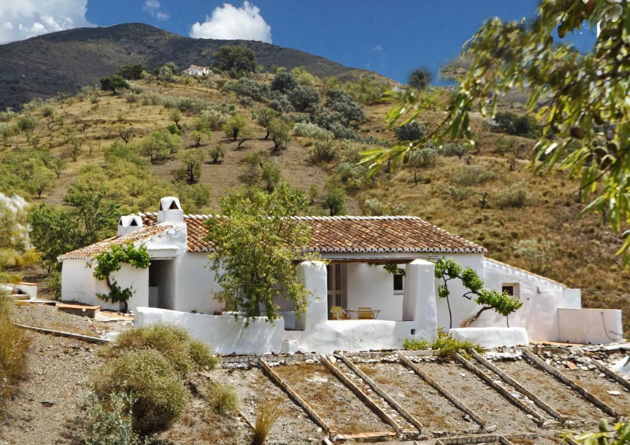 B&B And Apartments Cortijo La Zapatera Canillas de Aceituno エクステリア 写真